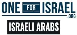 Israeli - arabs